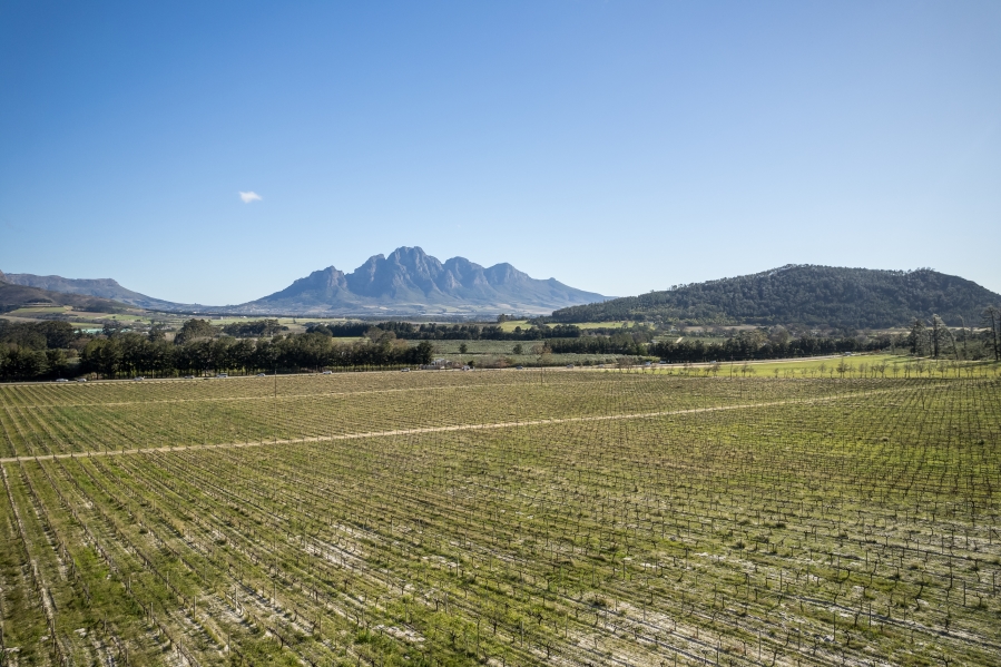 7 Bedroom Property for Sale in Franschhoek Rural Western Cape